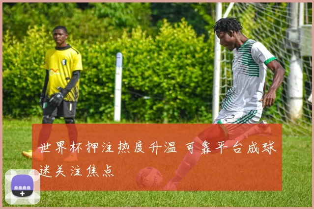 世界杯押注热度升温 可靠平台成球迷关注焦点