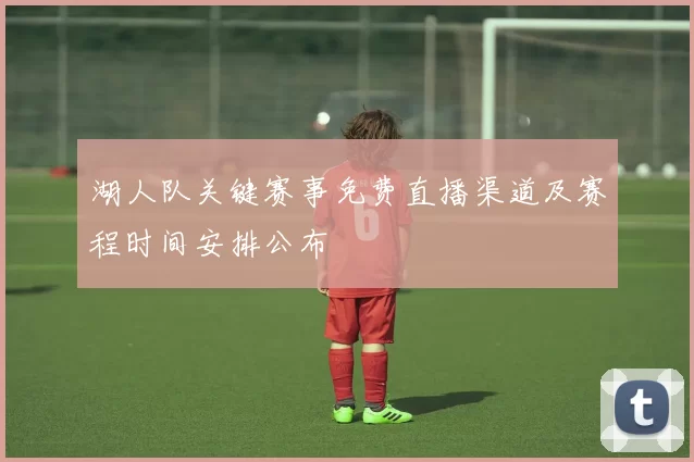 湖人队关键赛事免费直播渠道及赛程时间安排公布