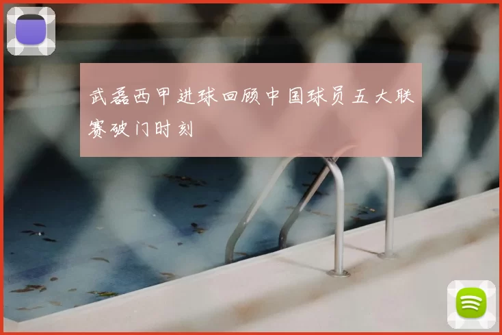 武磊西甲进球回顾中国球员五大联赛破门时刻